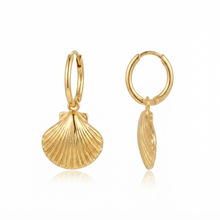 Load image into Gallery viewer, BEACH BABE | Schöne Creolen Ohrringe goldfarben mit fächerförmigen Muscheln
