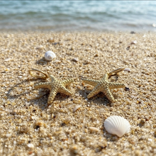 Laden Sie das Bild in den Galerie-Viewer, BEACH BABE | Ohrringe gold Seestern Creole
