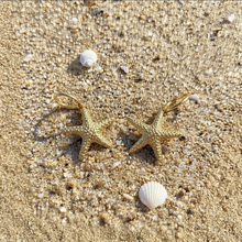 Laden Sie das Bild in den Galerie-Viewer, BEACH BABE | Ohrringe gold Seestern Creole
